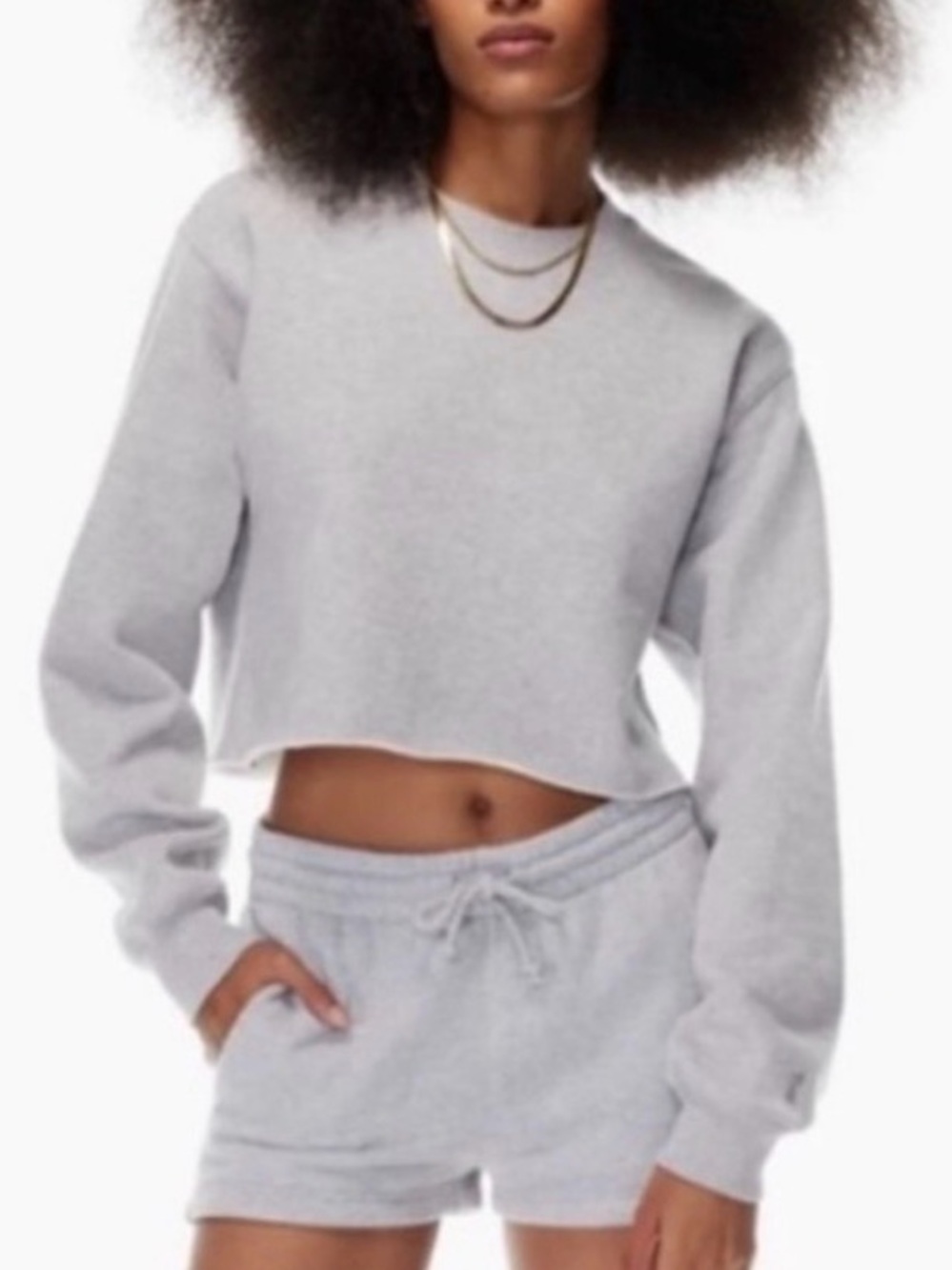 Aritzia (TNA) | Light Gray CozyAF Cropped Sweatshirt, Size 1/XS